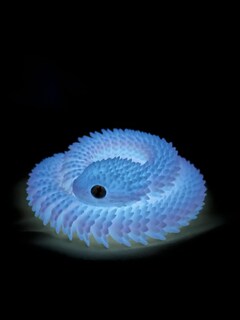 Foto 5 | Foto 5 | Fidget Toy Vabao Serpiente Flexible Impresa En 3d 60 Cm - Venta Internacional.