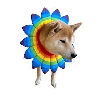Foto 2 | Foto 2 | Disfraz Para Perro Cheetahboo Con Flores Y Arcoíris Con Cuello Tipo Bandana Xs-xxl - Venta Internacional.