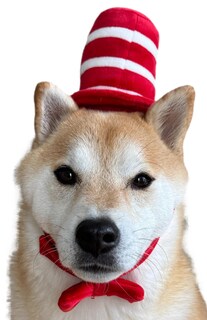Foto 1 | Foto 1 | Disfraz De Perro Comfycamper Sombrero De Copa Rojo Y Blanco Pajarita M - Venta Internacional.