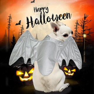 Foto 2 | Foto 2 | Disfraz De Perro Onmygogo Divertido Murciélago Alas De Dragón Halloween Plata L - Venta Internacional.