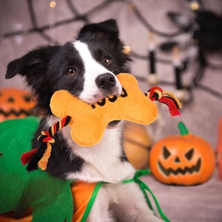 Foto 6 | Foto 6 | Peluche Con Forma De Calabaza Divertido Pupteck Para Halloween 3 Unidades - Venta Internacional.