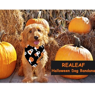 Foto 6 | Foto 6 | Pañuelos Para Perros Realeaf Halloween Paquete De 2 Pañuelos Con Forma De Calabaza Naranja - Venta Internacional.