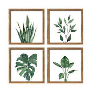 Foto 1 | Foto 1 | Arte Decorativo De Pared De Hannah Marco Botánico Enmarcado De Nogal De 20 X 20 Cm - Venta Internacional.