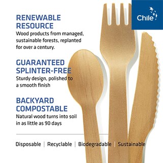 Foto 3 | Foto 3 | Juego De Cubiertos De Madera Desechables Woodable 200 Home Compostable - Venta Internacional.