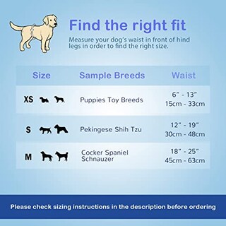 Foto 5 | Foto 5 | Pañales Para Perros Suaves Y Desechables Para Hombre 12 Unidades Talla Xs - Venta Internacional.