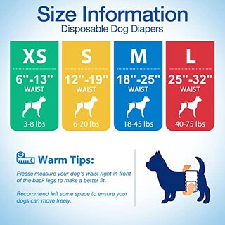 Foto 7 | Foto 7 | Pañales Para Perros Suaves Y Desechables Para Hombre 12 Unidades Talla Xs - Venta Internacional.