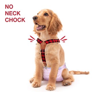 Foto 2 | Foto 2 | Dog Suspenders Pet Soft Pañales Keeper Para Perra Hembra - Venta Internacional.