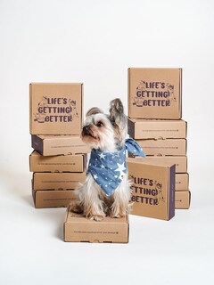 Foto 5 | Foto 5 | Cuenco De Cerámica Con Alimentación Lenta Para Perros Le Tauci Pet Para Razas Pequeñas Color Morado - Venta Internacional.