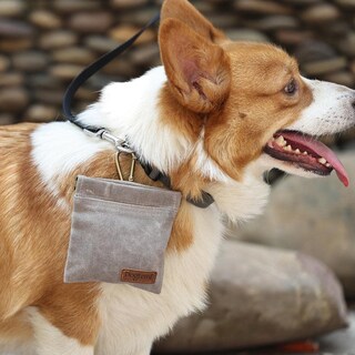 Foto 5 | Foto 5 | Bolsa De Golosinas Para Perros Duuclume Bolsa De Entrenamiento Para Cachorros Manos Libres Verde - Venta Internacional.