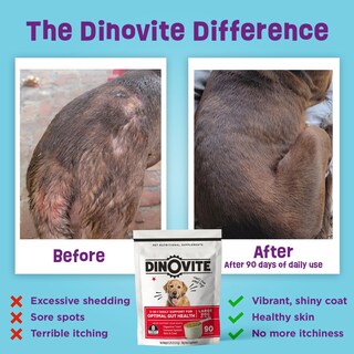 Foto 2 | Foto 2 | Probióticos Para Perros Dinovite Para Perros Medianos De 8 A 20 Kg Suministro Para 90 Días - Venta Internacional.