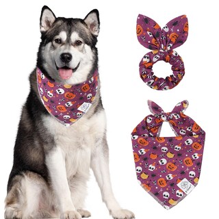 Foto 1 | Foto 1 | Set De Pañuelos Y Coleteros Para Perros E-clover Halloween Girl Purple - Venta Internacional.