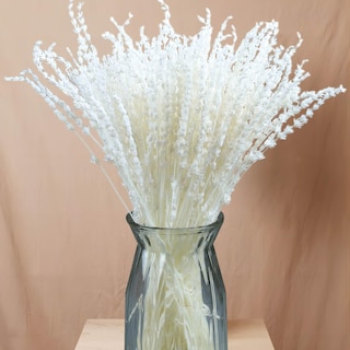 Foto 1 | Foto 1 | Paquete De Flores De Lavanda Secas Glicrili Iory White Más De 180 Tallos - Venta Internacional.