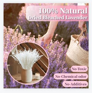 Foto 2 | Foto 2 | Paquete De Flores De Lavanda Secas Glicrili Iory White Más De 180 Tallos - Venta Internacional.