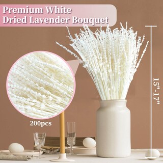 Foto 3 | Foto 3 | Paquete De Flores De Lavanda Secas Glicrili Iory White Más De 180 Tallos - Venta Internacional.