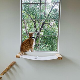 Foto 5 | Foto 5 | Hamaca Fukumaru Cat De Cat Wall Furniture Para Estantes De Pared Para Gatos - Venta Internacional.