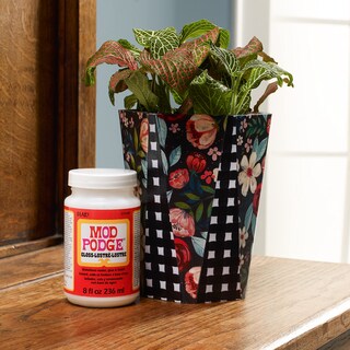 Foto 4 | Foto 4 | Sellador Brillante Pegamento Y Acabado Craft Solution Mod Podge 960 Ml - Venta Internacional.