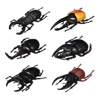 Foto 1 | Foto 1 | Set De Figuras De Juguete Doyifun Modelo De Escarabajo Realista Para Niños De 14 Cm - Venta Internacional.