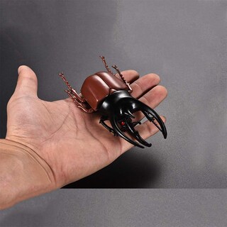 Foto 2 | Foto 2 | Set De Figuras De Juguete Doyifun Modelo De Escarabajo Realista Para Niños De 14 Cm - Venta Internacional.