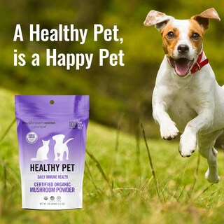 Foto 2 | Foto 2 | Suplemento Mushroom Matrix Pet Canine 100 G Para Perros Y Gatos - Venta Internacional.