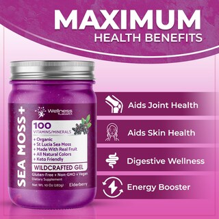 Foto 3 | Foto 3 | Gel De Musgo Marino Wellness Labsrx Organic Raw 300 Ml De Saúco - Venta Internacional.