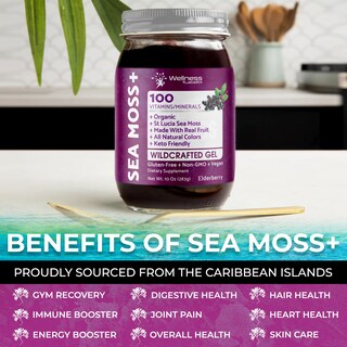Foto 4 | Foto 4 | Gel De Musgo Marino Wellness Labsrx Organic Raw 300 Ml De Saúco - Venta Internacional.