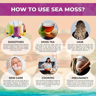 Foto 5 | Foto 5 | Gel De Musgo Marino Wellness Labsrx Organic Raw 300 Ml De Saúco - Venta Internacional.