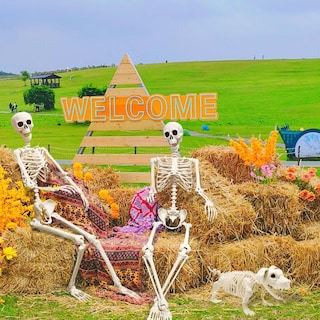 Foto 5 | Foto 5 | Halloween Skeleton Umeelr De 1 65 M Con Esqueleto De Plástico Para Perros - Venta Internacional.