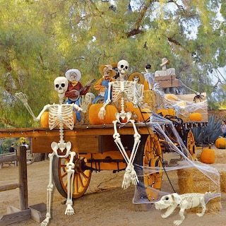 Foto 7 | Foto 7 | Halloween Skeleton Umeelr De 1 65 M Con Esqueleto De Plástico Para Perros - Venta Internacional.