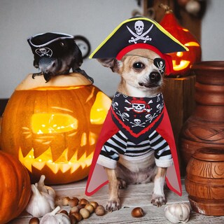 Foto 6 | Foto 6 | Set De Disfraz De Pirata Para Perro Huhumy Con Sombrero Pañuelo Capa Y Máscara De Ojos - Venta Internacional.