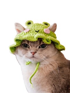 Foto 1 | Foto 1 | Gorro Para Mascotas Qwinee  Tejido Con Diseño De Dibujos Animados  Bonito Perro  Gato Y Conejo  Verde - Venta Internacional.