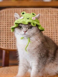 Foto 2 | Foto 2 | Gorro Para Mascotas Qwinee  Tejido Con Diseño De Dibujos Animados  Bonito Perro  Gato Y Conejo  Verde - Venta Internacional.