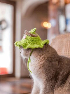Foto 3 | Foto 3 | Gorro Para Mascotas Qwinee  Tejido Con Diseño De Dibujos Animados  Bonito Perro  Gato Y Conejo  Verde - Venta Internacional.