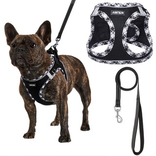 Foto 1 | Foto 1 | Arnés Para Perros Amtor Small Con Correa Para Entrenamiento Y Caminata - Venta Internacional.