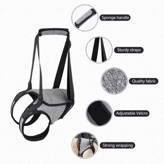 Foto 2 | Foto 2 | Arnés De Soporte Para Perros Gabefish Para Patas Traseras Gris Pequeño - Venta Internacional.