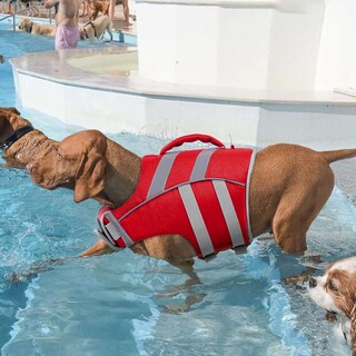 Foto 6 | Foto 6 | Chaleco Salvavidas Kuoser Para Perros Con Rayas Reflectantes Para Todos Los Tamaños - Venta Internacional.