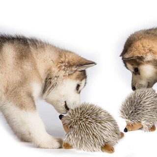 Foto 7 | Foto 7 | Juguete De Peluche Para Perros Pawaboo Hedgehog No Tóxico Supersuave Paquete De 2 - Venta Internacional.