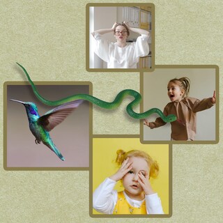 Foto 6 | Foto 6 | Batería Hohajiu Con Forma De Serpiente Falsa Realista Realista 10 Unidades 45 Cm - Venta Internacional.