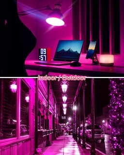 Foto 4 | Foto 4 | Bombilla Led Oraluce Colorful A19 9 W 810 Lm Equivalente A 60 W Paquete De 6 - Venta Internacional.