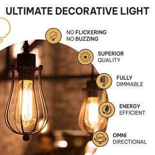 Foto 2 | Foto 2 | Bombillas Hudson Bulb Co. Incandescente Edison Vintage De 60 W - Venta Internacional.