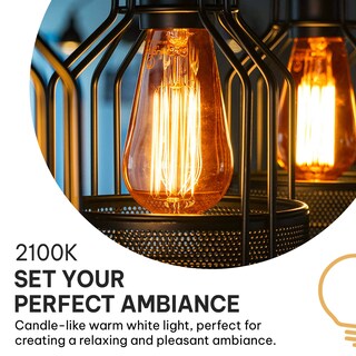 Foto 3 | Foto 3 | Bombillas Hudson Bulb Co. Incandescente Edison Vintage De 60 W - Venta Internacional.