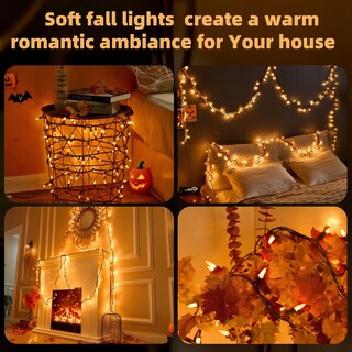 Foto 5 | Foto 5 | Luces De Halloween Para Decoración Otoñal 21 M 100 Bombillas Naranjas Ul - Venta Internacional.