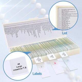 Foto 4 | Foto 4 | Set De Portaobjetos De Microscopio Lakwar 60 Muestras Para Niños Y Adultos - Venta Internacional.
