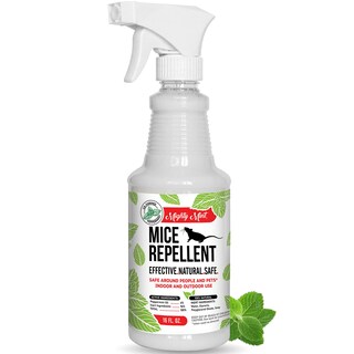 Foto 1 | Foto 1 | Aerosol Repelente De Ratones Mighty Mint Aceite De Menta 500 Ml - Venta Internacional.