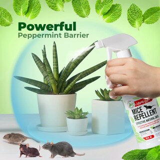 Foto 2 | Foto 2 | Aerosol Repelente De Ratones Mighty Mint Aceite De Menta 500 Ml - Venta Internacional.