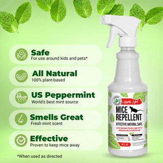 Foto 3 | Foto 3 | Aerosol Repelente De Ratones Mighty Mint Aceite De Menta 500 Ml - Venta Internacional.