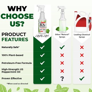 Foto 6 | Foto 6 | Aerosol Repelente De Ratones Mighty Mint Aceite De Menta 500 Ml - Venta Internacional.