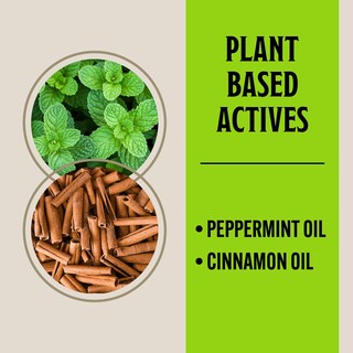 Foto 3 | Foto 3 | Aerosol Repelente Para Ratones Grandpa Gus's Peppermint & Cinnamon - Venta Internacional.