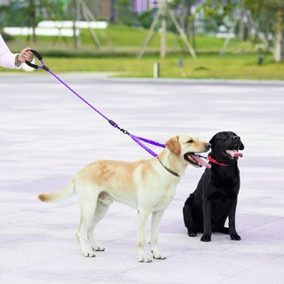 Foto 6 | Foto 6 | Correa Doble Para Perros Iyoshop Giratoria De 360° Con Elástico Que Absorbe Los Golpes - Venta Internacional.