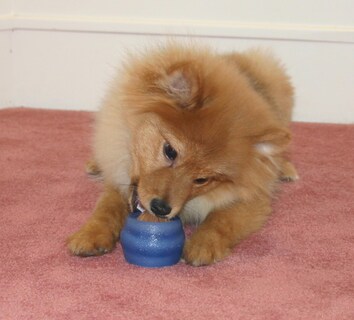 Foto 6 | Foto 6 | Treat Ball Starmark Everlasting Small Con 1 Golosina Para Perros - Venta Internacional.