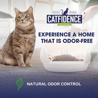 Foto 2 | Foto 2 | Arena Para Gatos Catfidence Bambú Orgánico Sin Perfume 3 2 Kg - Venta Internacional.